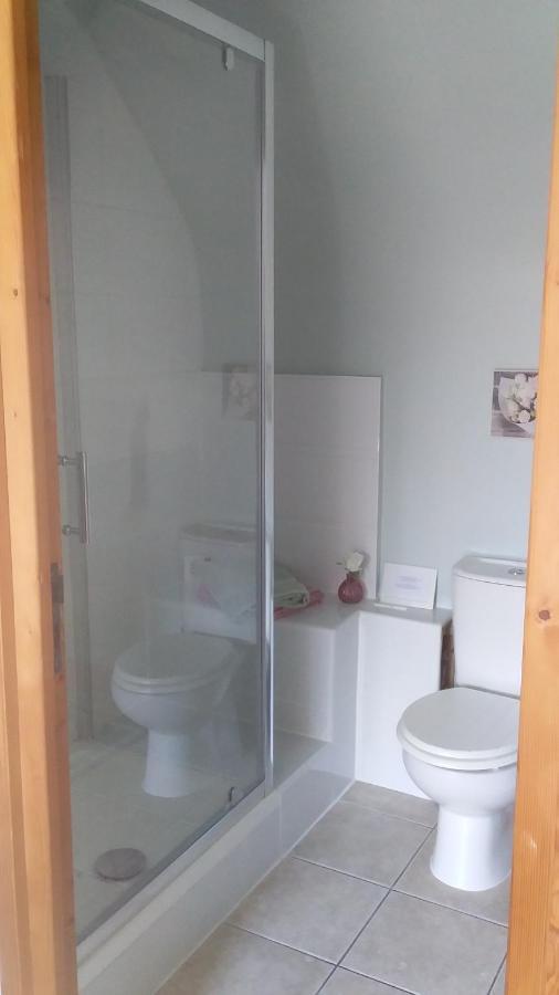 Chambre De Rose - Le Refuge Des Parachutistes - En Bordure Du Marais Neuville-au-Plain Екстериор снимка