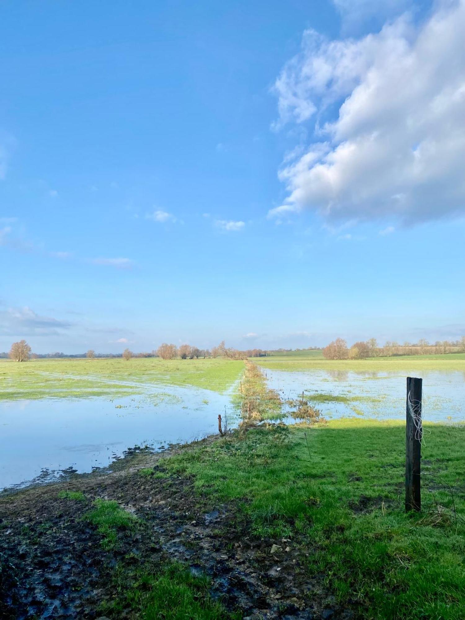 Chambre De Rose - Le Refuge Des Parachutistes - En Bordure Du Marais Neuville-au-Plain Екстериор снимка